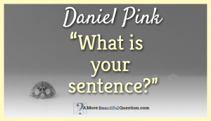 Q-Daniel-Pink